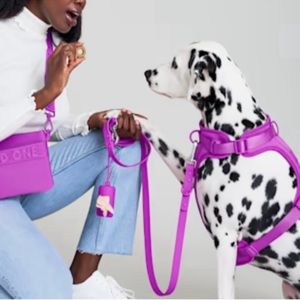 Wild One Orchid Medium Collar and Poop Bag